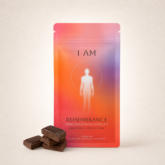 Remembrance (Chocolate)